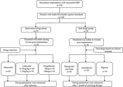 Effects of Rhythm and Rate-Controlling Drugs in Patients With Permanent His-Bundle Pacing